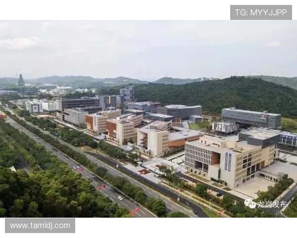 以多伦多足球场为核心打造城市体育文化新地标与活力社区共融发展