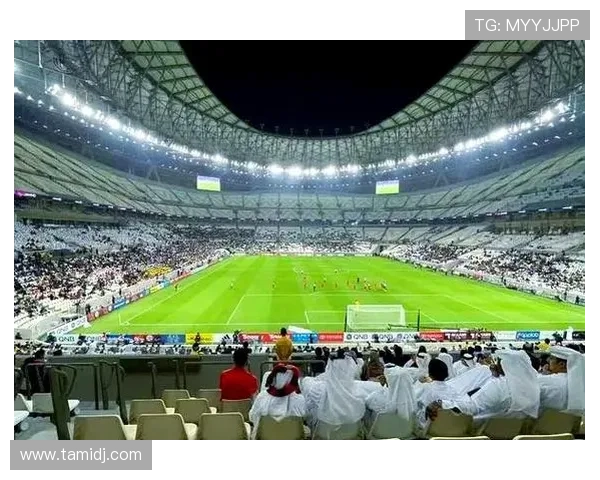 世界杯训练营全景揭秘从选拔到战术打造的幕后真相与成长之路探秘